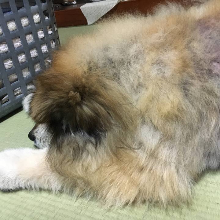 2207821b d80c 4283 a884 2f43d628e124 1587147107400