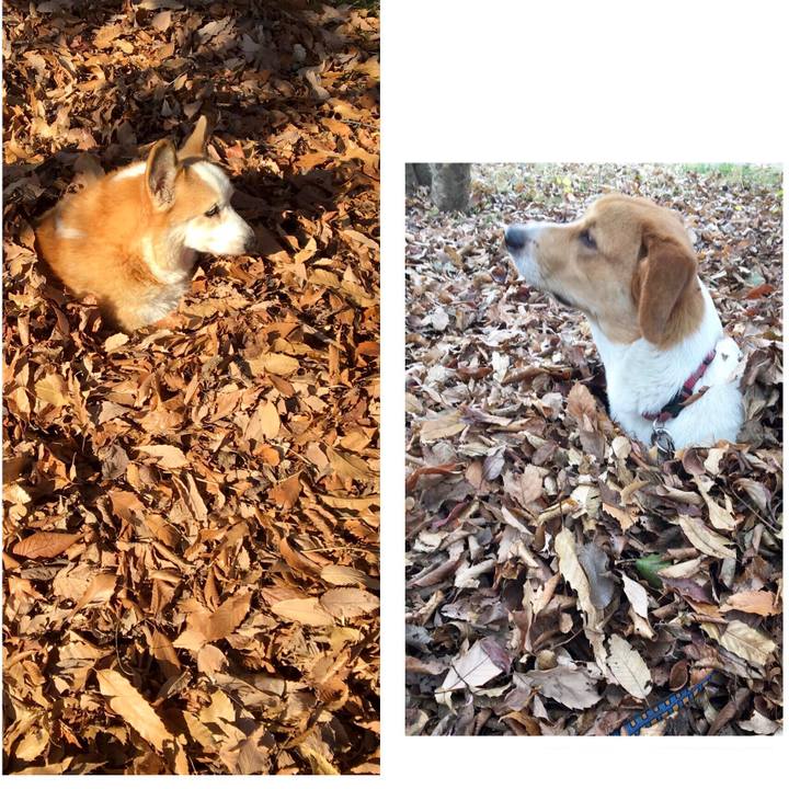 2207b816 1166 4ad3 87c8 271653616254 1639010550015