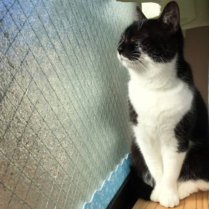 2207b88d 4954 4781 b11e 0833b30e9202 1517279344760