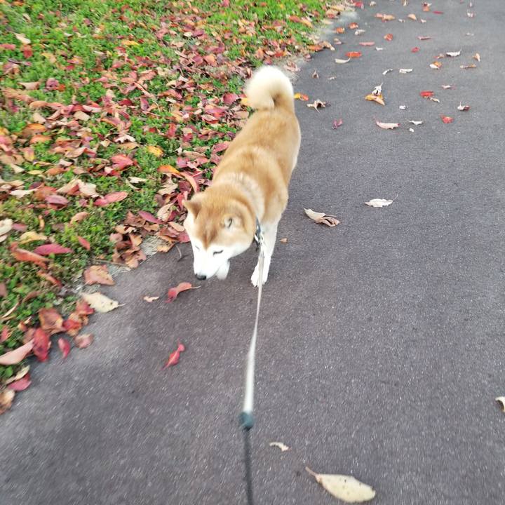 2207bbf9 7f6c 4023 b21f e4429b74640f 1667978628144