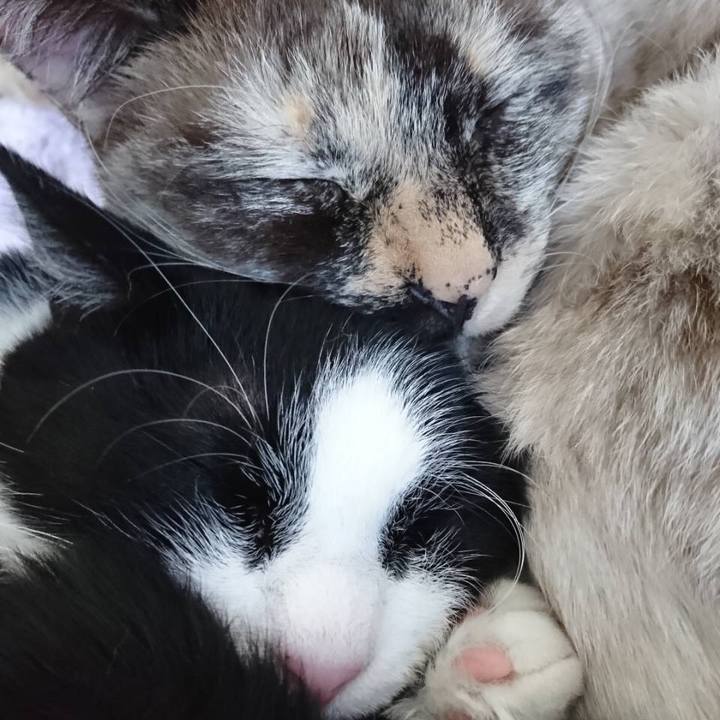 2207e9a6 d593 4adc bee2 17f5fc8eafa1 1560096853173