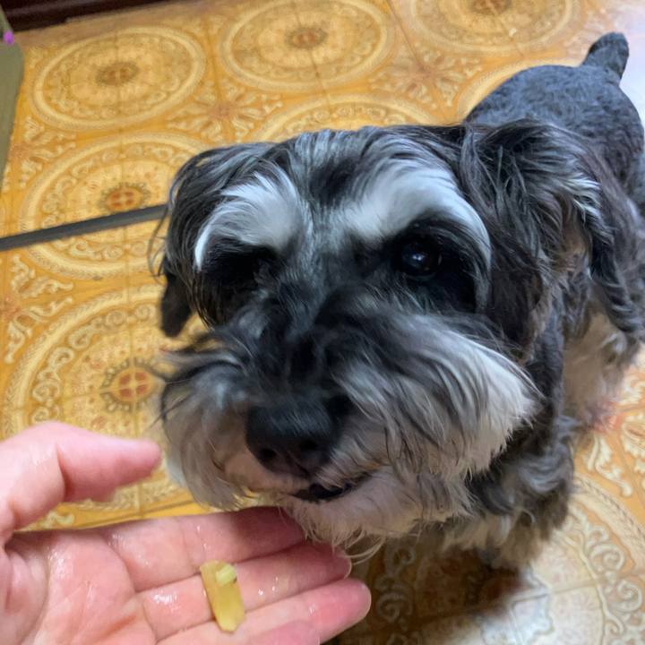 2208029c 7dbb 4199 99f1 6d8d47e4633a 1717210386222