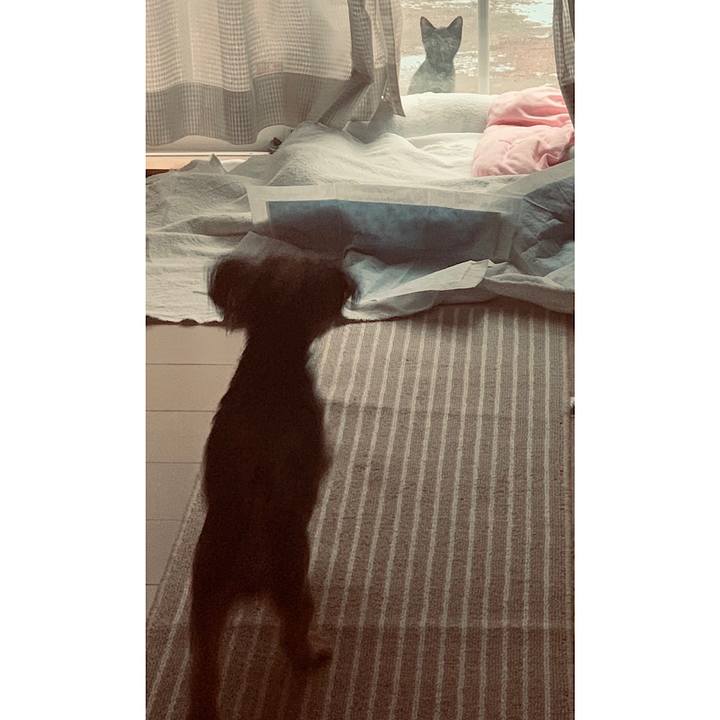 22081d92 2726 4a8f a46d b5a0f6afa3bc 1632610730881