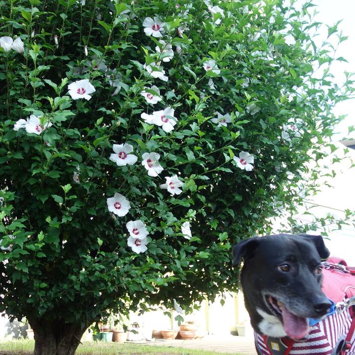 220824df 8ae7 402c 9190 44c3c67bd7e5 1690070050250