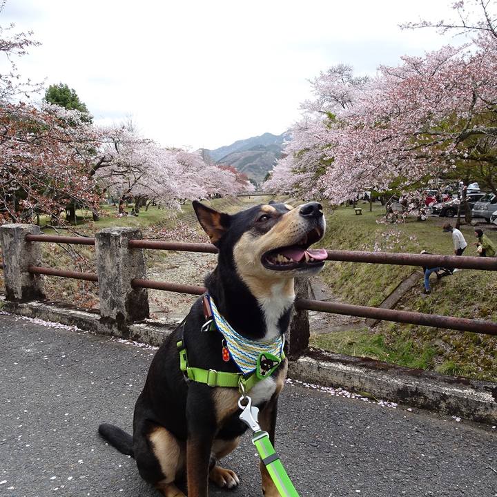 22084f0a 4865 4dde ab1a 31bc2c43697e 1617454161933