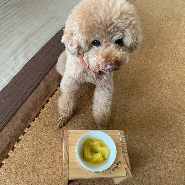 22085225 cf3f 4079 a0fb ada58ff6b918 1550024126946