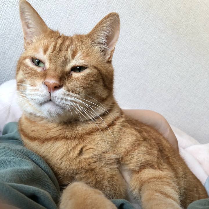 22086259 5a99 440d b777 85c5ba2e0abc 1650065352563