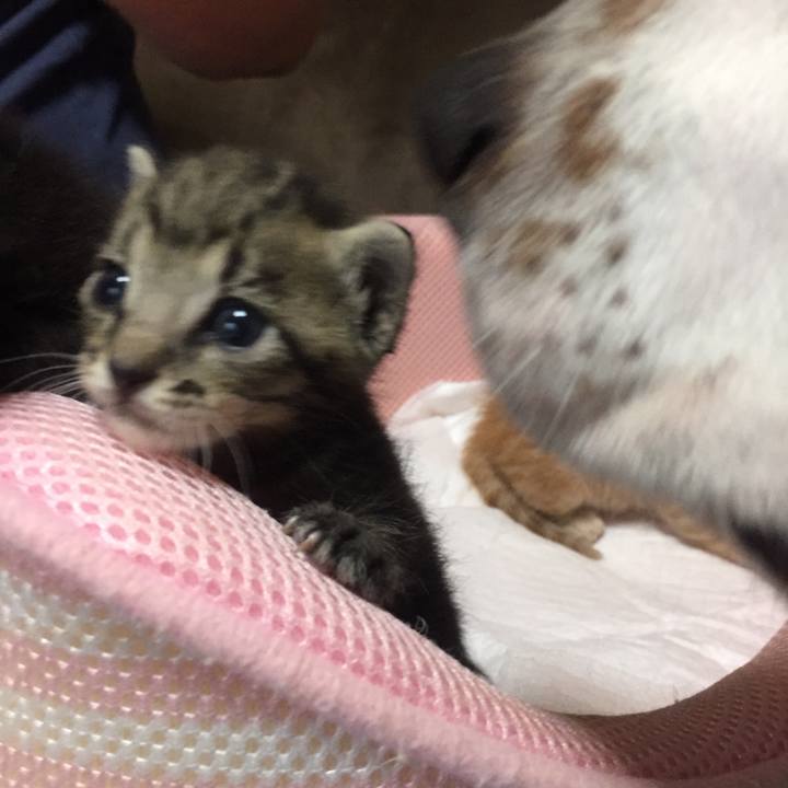 220866e0 3b74 4675 8ea9 0283acdc2c00 1531874546165