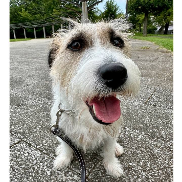 2208a45e 4ad8 4465 bc65 849a737096cb 1723274139127