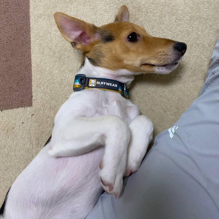 2208ba11 69cf 4786 8571 feaa0b4a0213 1749892655463