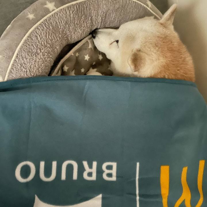 2208c392 d95e 4389 80ea b2db3a51039f 1704436885362