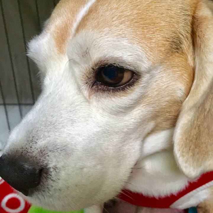 2208d9f9 245d 40f3 bcbd 559a6a00a308 1551411918568