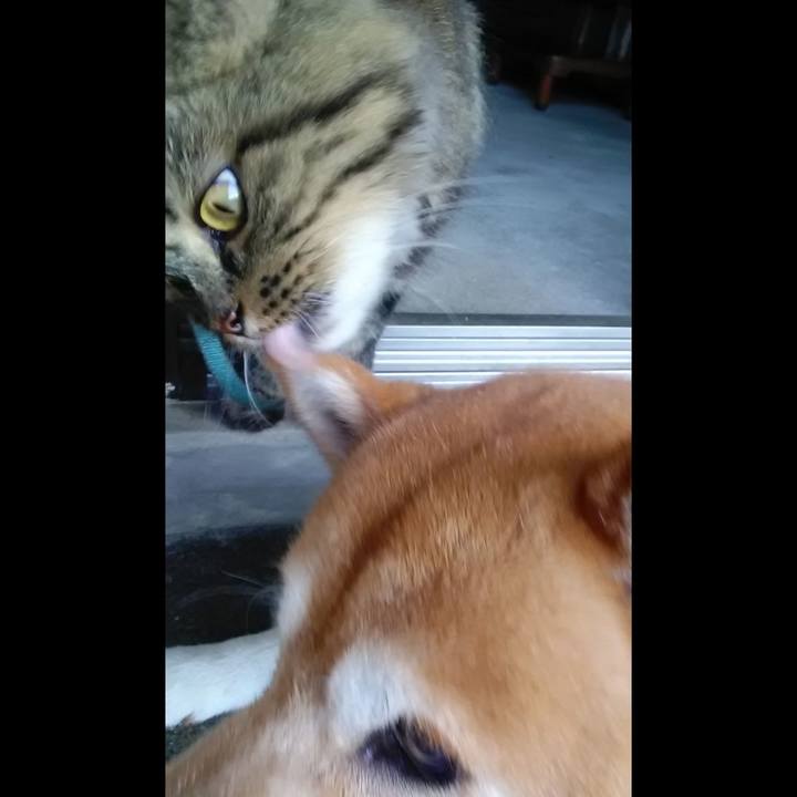 22091c64 efec 4317 ad17 0bcdce348114 1628205359484