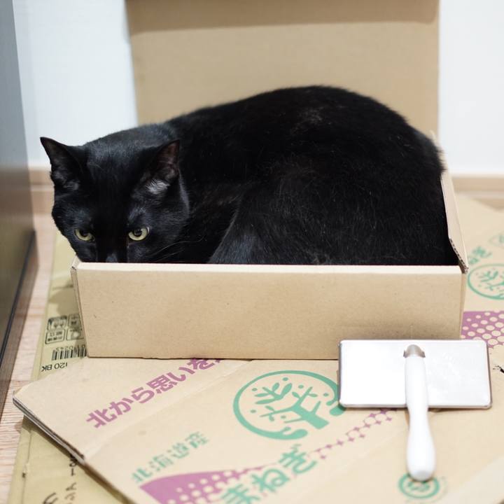 22092b08 fafb 4ba0 a69f 4f0fda55eddc 1557962983687