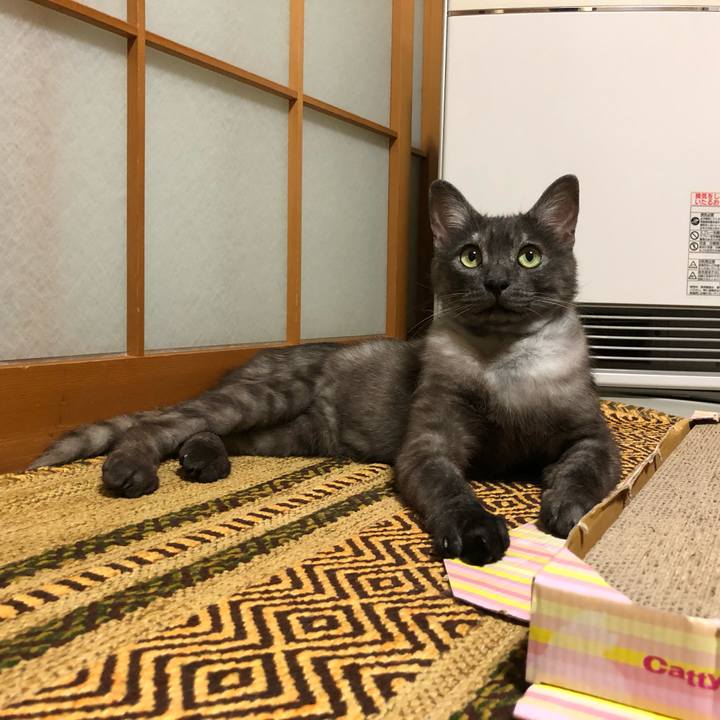 22092c29 395e 4c7d 94fe 3bedd9b86cab 1593156331079