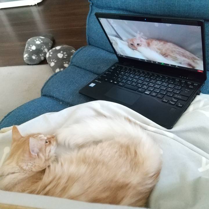 22096a87 14cb 4763 bb62 592f7d781274 1616466364440