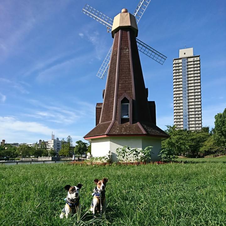 2209be06 f8ad 4840 83d7 6ed607e73801 1534544767479