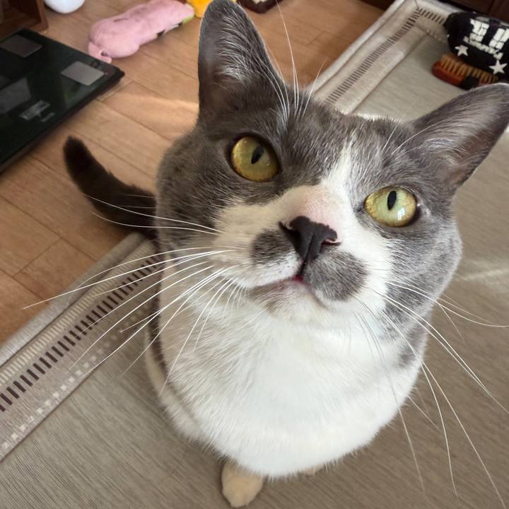 2209db67 0d11 401b b82d 63fd5b3001f7 1766901480665