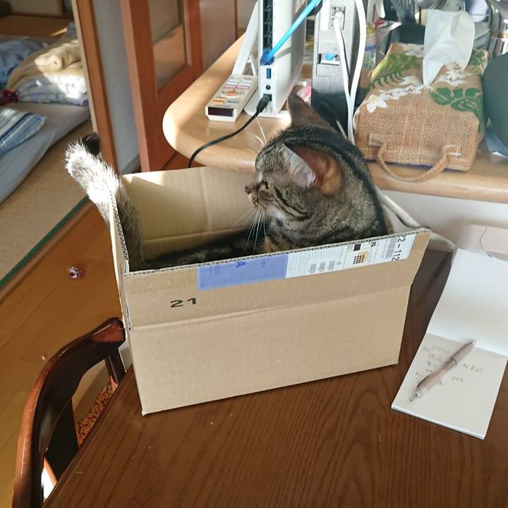 2209f6a7 eea6 459f b555 8912b56c8cc5 1605693780805