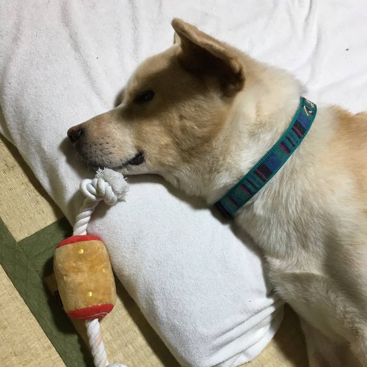 220a3270 b30e 4fdf a63d 346acbe67f2b 1529334690766