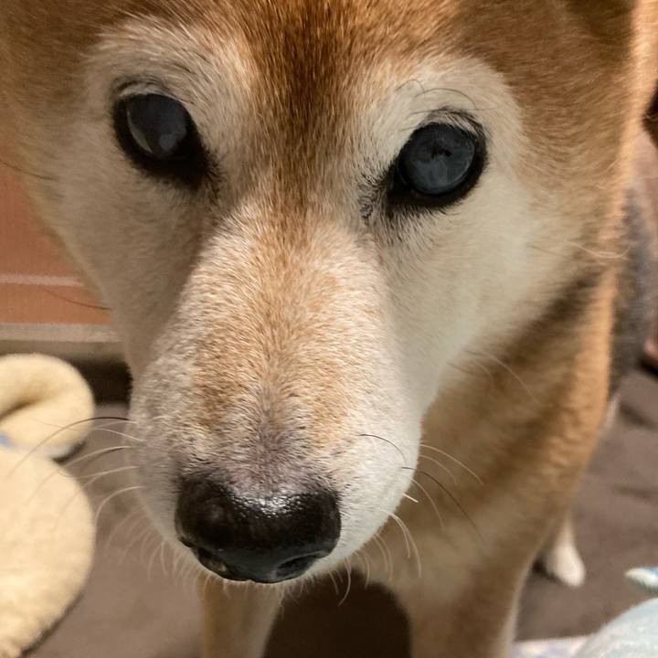 220a6880 a0c9 4a8f 8e56 cc71ce3c5e98 1706864633962