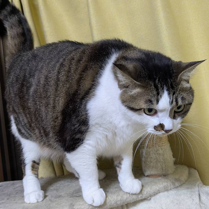 220a74df 1c20 4a7b 8ad0 1d0cc8995313 1774792318585