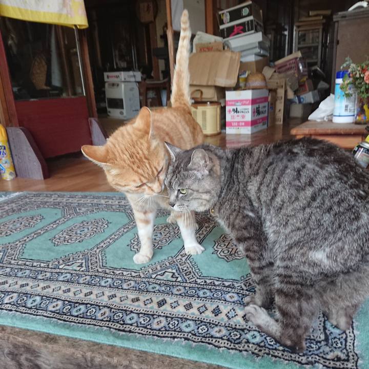 220a859a fe55 4e52 95ae d6814382ffb5 1587799266734