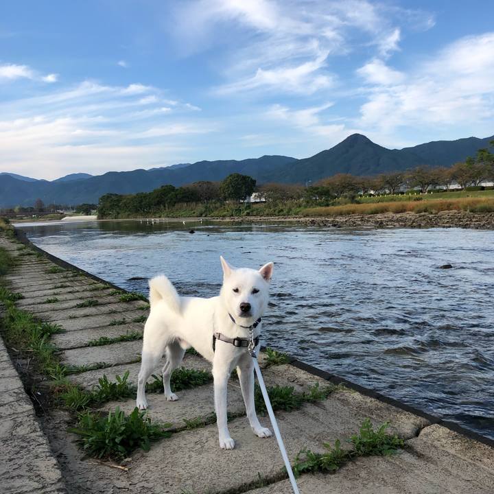 220a9f81 3e1b 40dc 909a b32c41433619 1571710761739