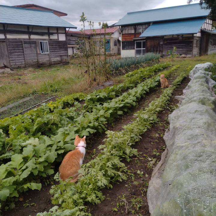 220aea7e 8bc3 41b6 895a 7af3cfa874f0 1760257278648