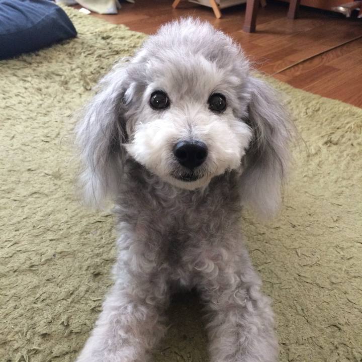 220b1702 02f1 440a 93ae 9d5e0df4ad62 1749480109532