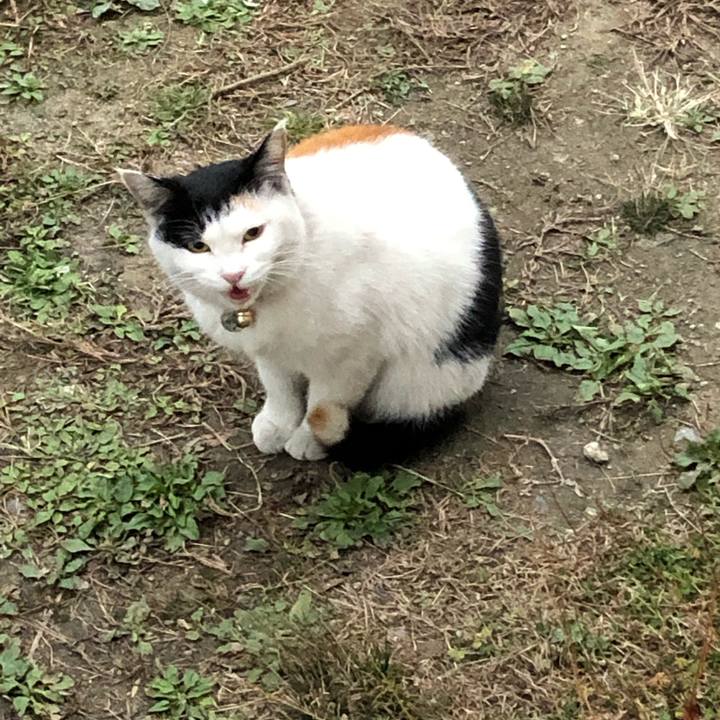 220b17bc f296 4f93 bc80 d3725b808a06 1607033796425