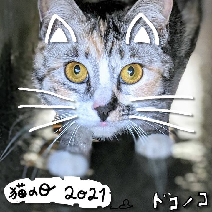 220b2230 9540 4ecc b83e 0ac1e611b791 1613963620714