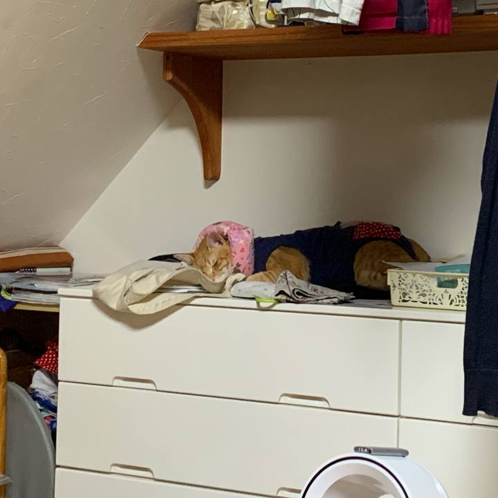 220badbe d928 4d50 9741 391e37b5a6ad 1620477446733