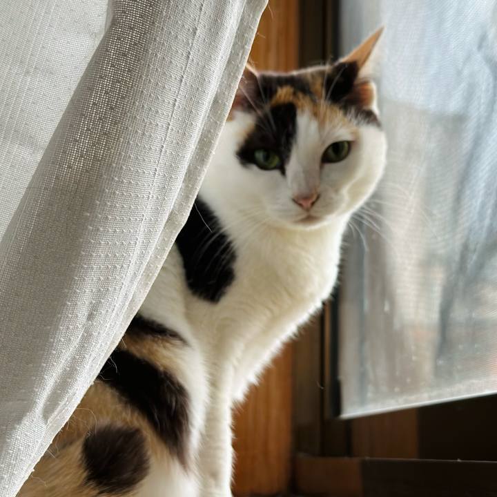 220bd722 0658 4001 8a75 b779b6310452 1671673711167