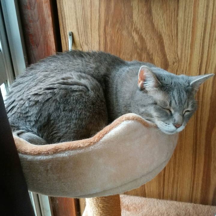 220bdccf 1b61 4ec9 ac82 66958873b53d 1563160629425