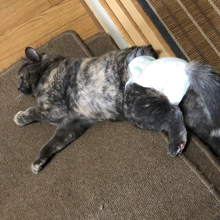 220be3a6 1990 47ce 88f9 01482bd495aa 1549672855972