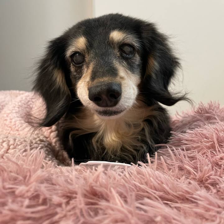 220be6ed 6715 4e56 a709 8691e3df4f8c 1738280994981