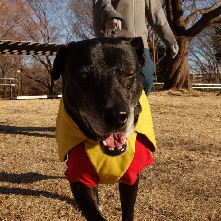 220bea5a 7940 44db 8359 6ccbef5f57f6 1740012245309