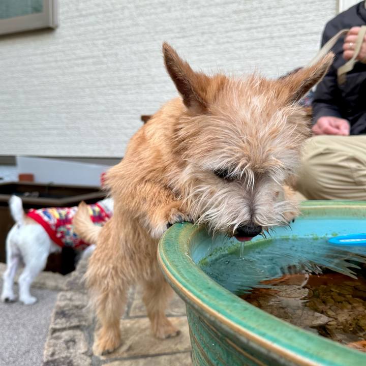 220c4d4d 60a1 492e 973b cb9f36a3f7f1 1708031452643