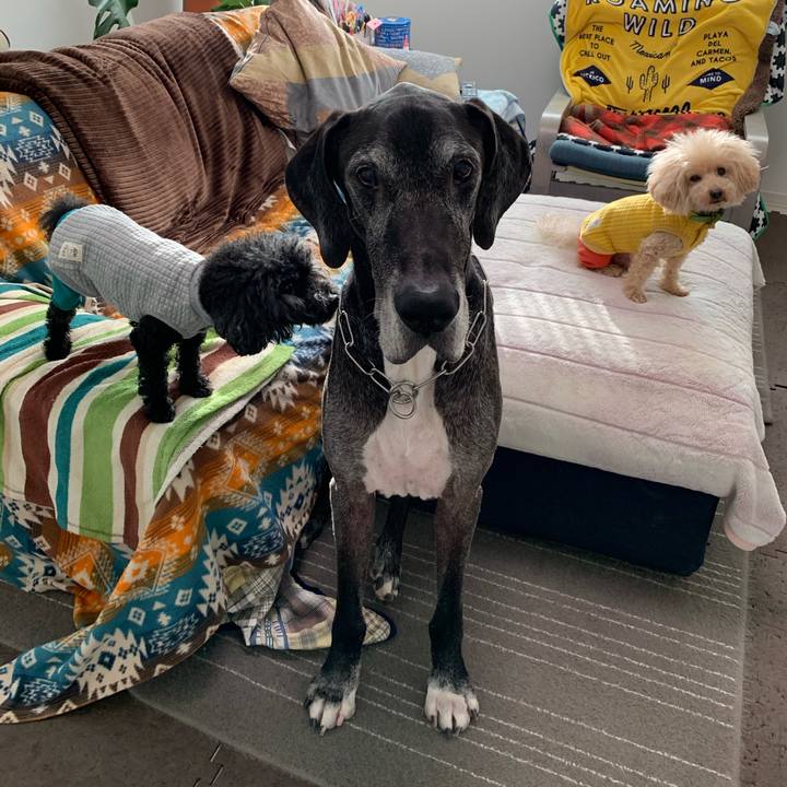 220c852e 1381 4a20 8680 4ef9ea808dce 1604878675881