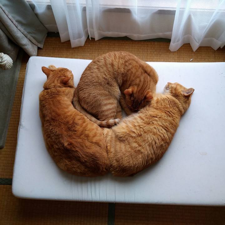 220ca95c 93ac 4fbb 917b 74e7debda58b 1627354940238