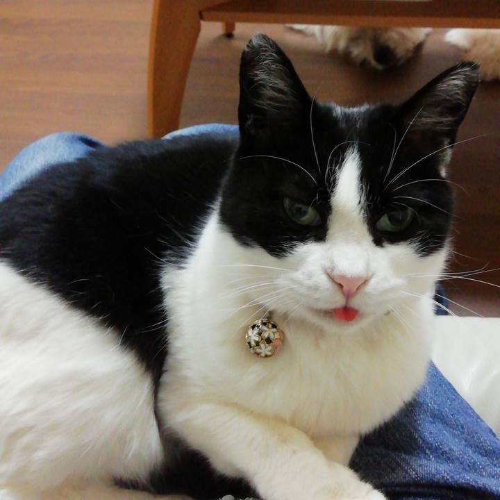 220cb177 7b91 42e7 bf2d 9697d697f5eb 1621420291353