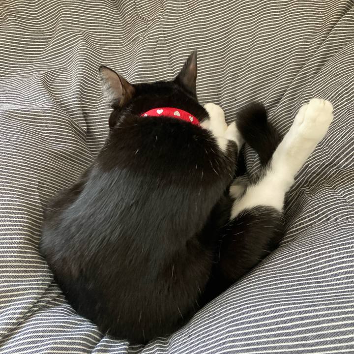 220cebf5 0496 4b20 b0fe 6198755279ce 1761280906820