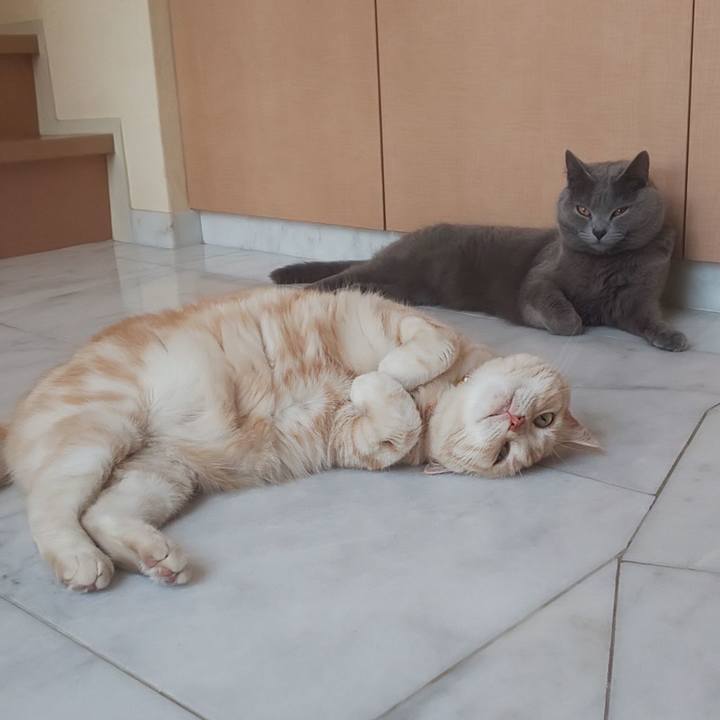 220da58d 941c 4947 9bd2 6ada0edcc658 1559806894090