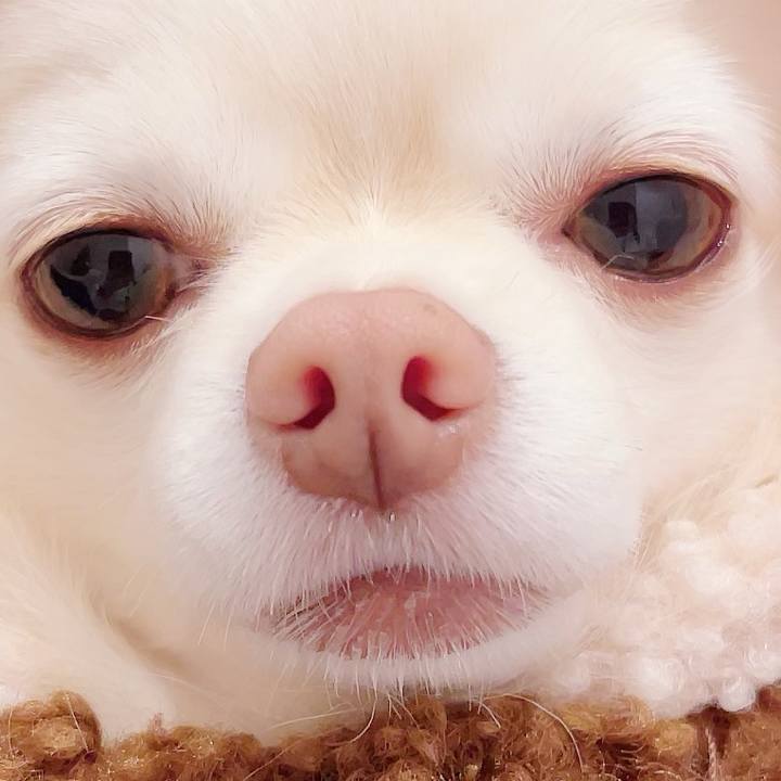 220dc094 2166 409d ae13 ea9e7d9a9247 1702043908003