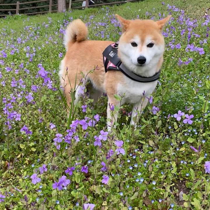 220df18e 5b42 49c2 8dc8 9a2b7ae8aeeb 1648298394542