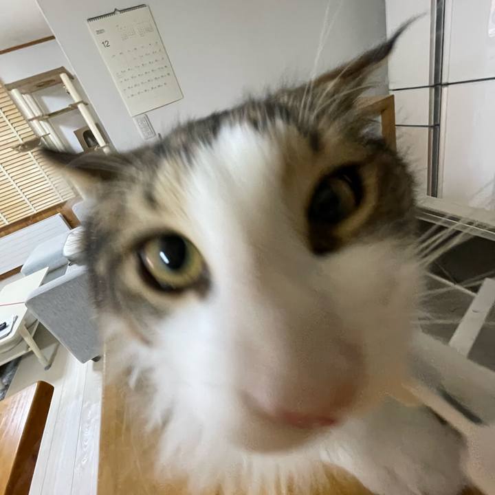 220e09da f63b 4940 b316 1f877e514208 1638608636814