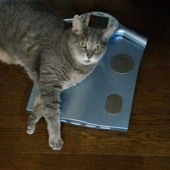 220e12e7 00a4 4568 9409 0646962a720e 1595332329367