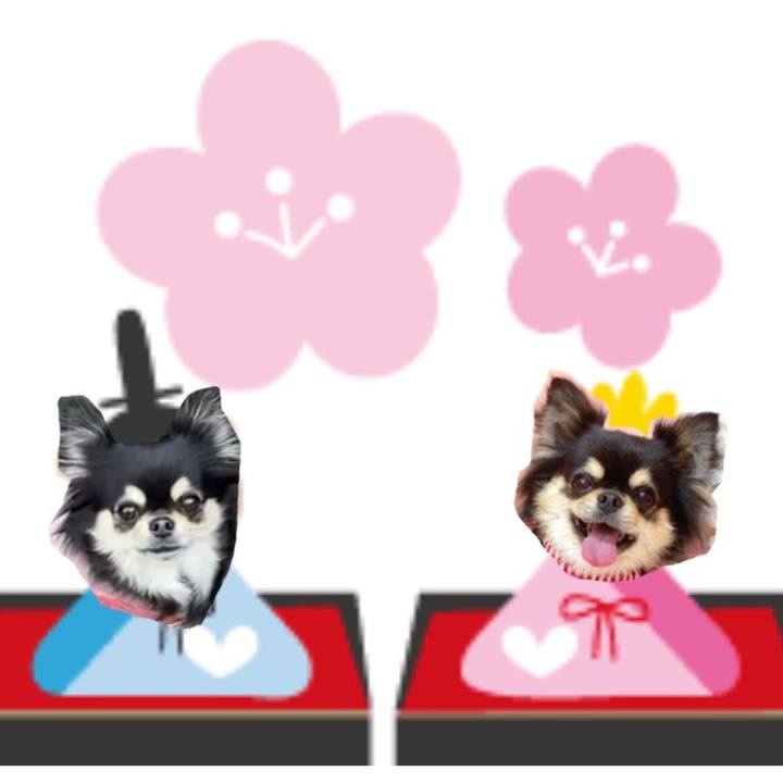 220e27f0 ee88 42e2 a294 38387f7f524a 1614735431707