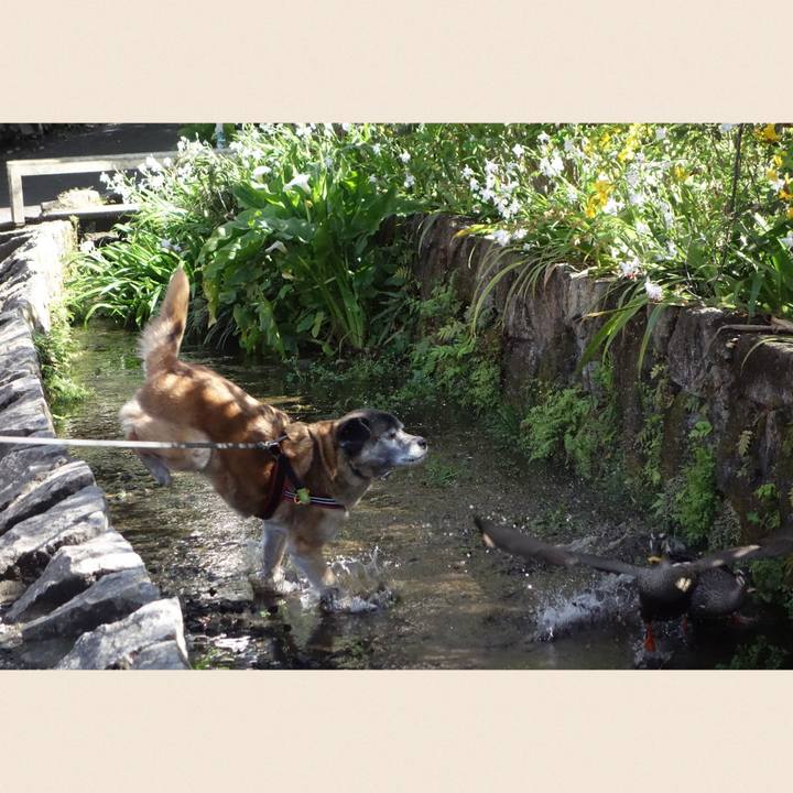 220e41b2 8669 4a8d 8588 e838a3c1eed9 1712659598265